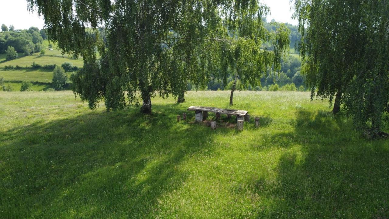 Hotel Casa Iancu Jina Zewnętrze zdjęcie