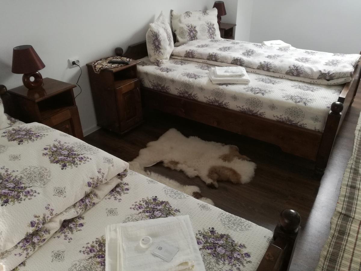 Hotel Casa Iancu Jina Zewnętrze zdjęcie